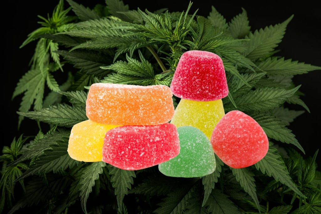 Delta 9 Gummies